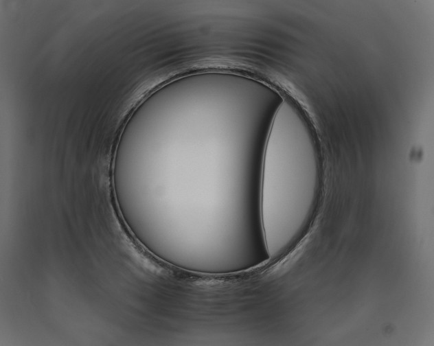 X0000091011033200708021402