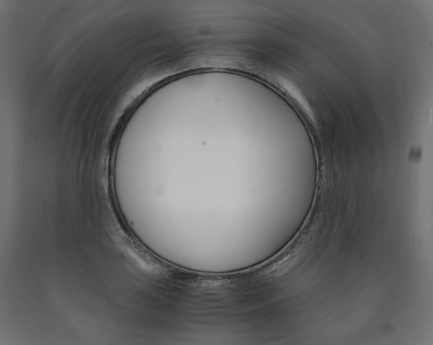 X0000091011035200708021402