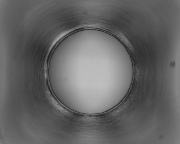 X0000091011036200708021402