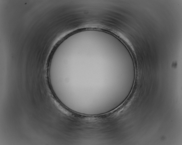 X0000091011037200708021402