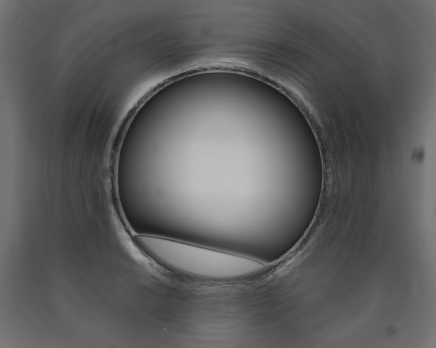 X0000091011038200708021402