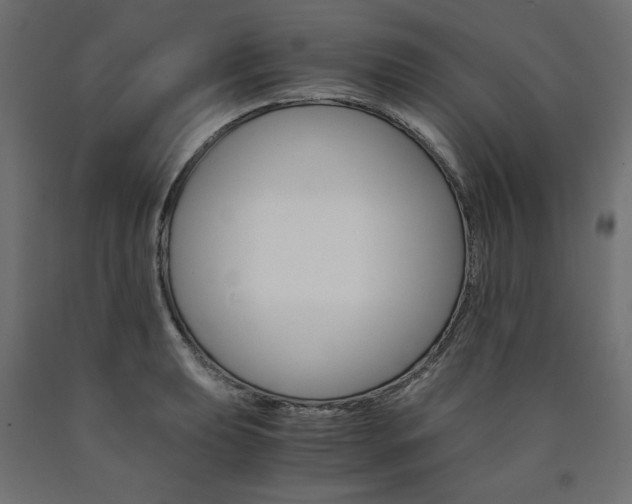 X0000091011039200708021402