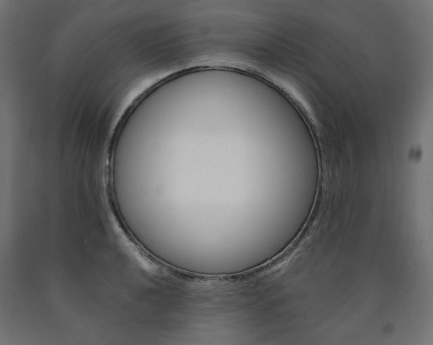 X0000091011040200708021402