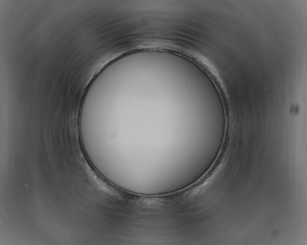 X0000091011041200708021402