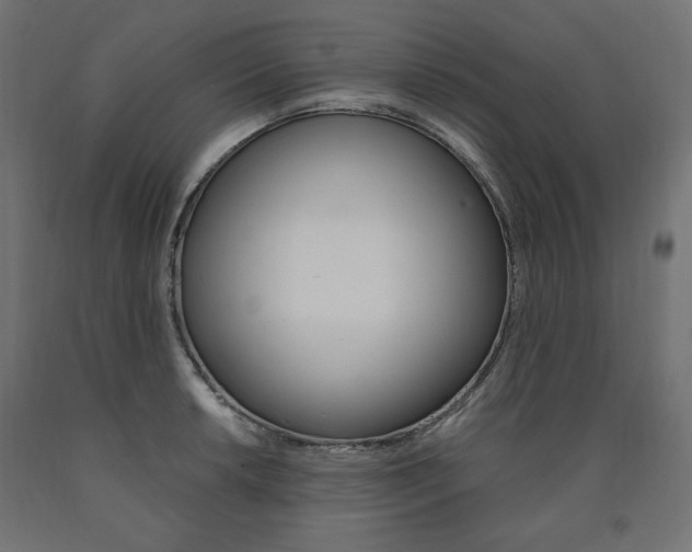 X0000091011042200708021402