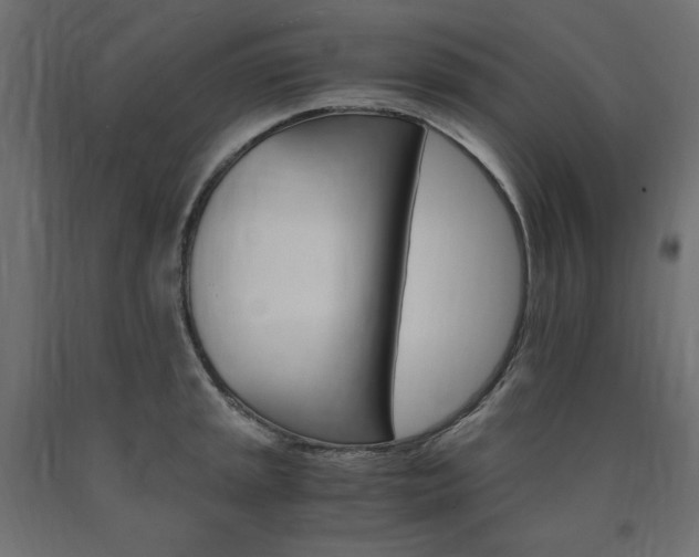 X0000091011045200708021402