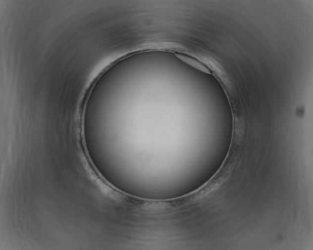 X0000091011046200708021402
