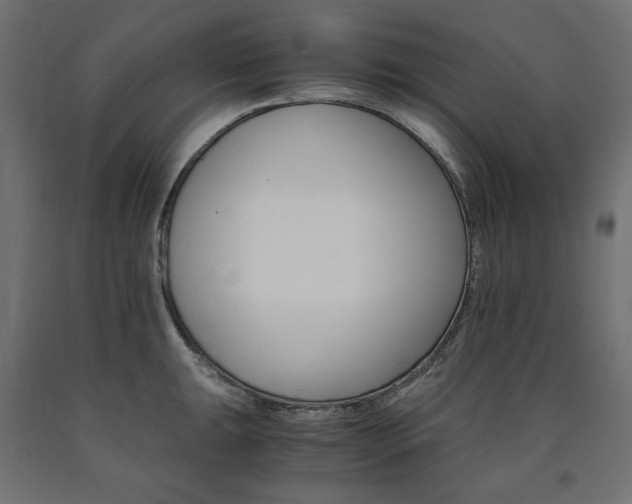 X0000091011047200708021402