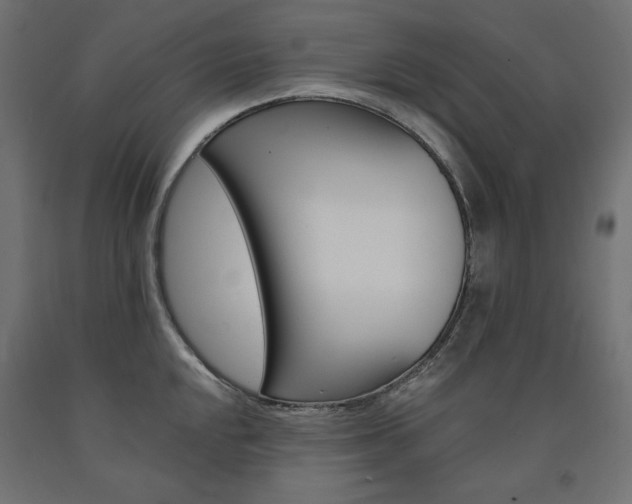 X0000091011048200708021402