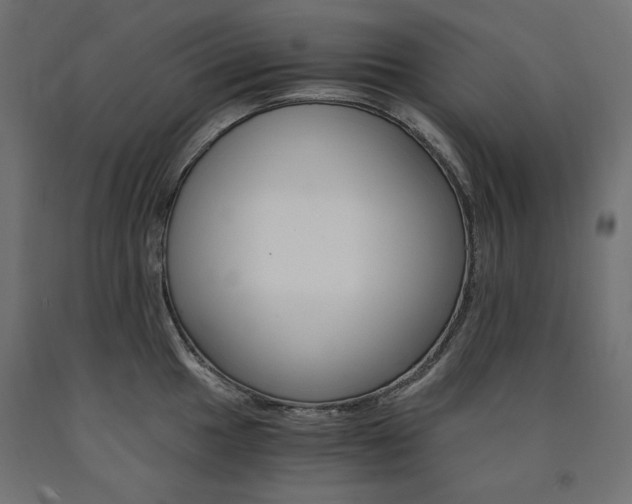 X0000091011049200708021402
