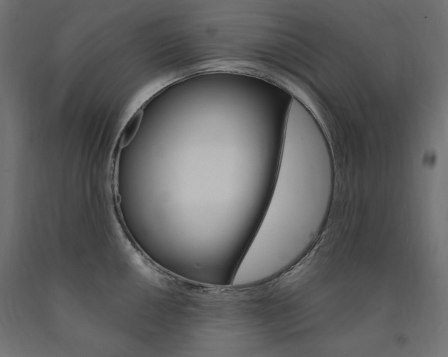 X0000091011050200708021402