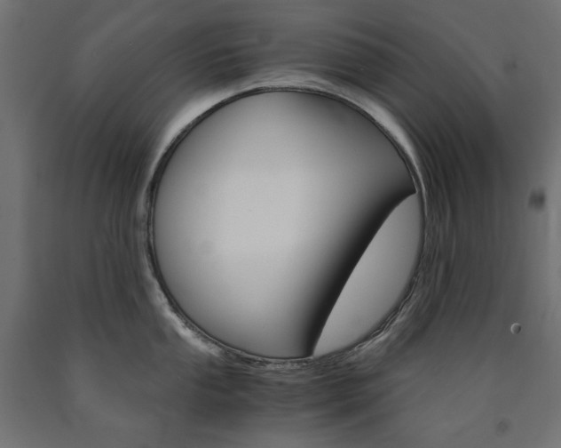 X0000091011053200708021402
