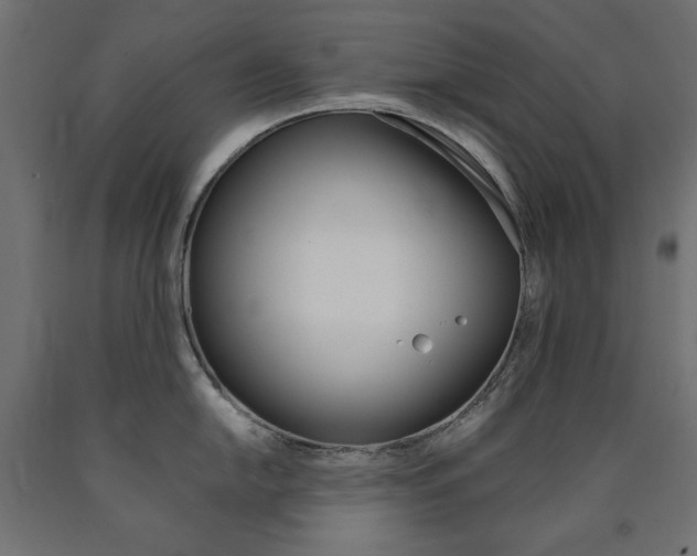 X0000091011054200708021402