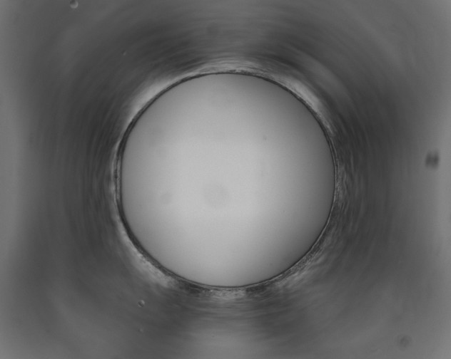 X0000091011055200708021402