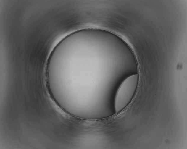 X0000091011056200708021402