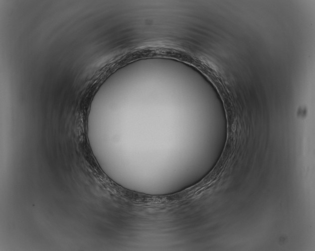 X0000091011062200708021401