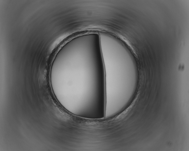X0000091011066200708021401