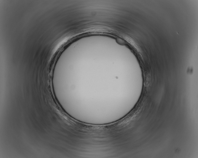 X0000091011067200708021401
