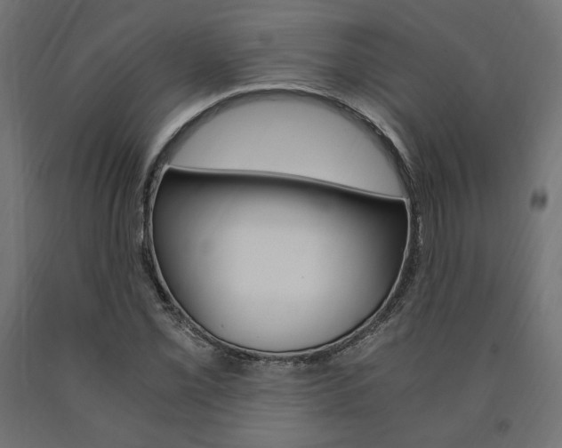 X0000091011069200708021401