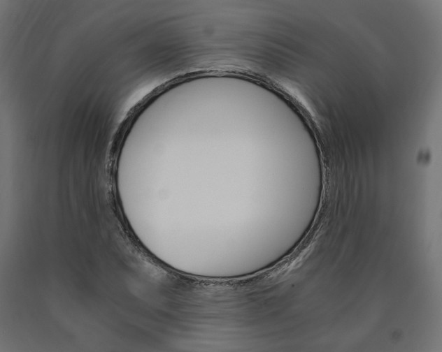X0000091011071200708021401
