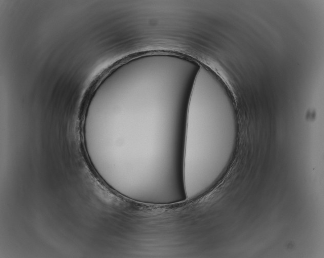 X0000091011072200708021401