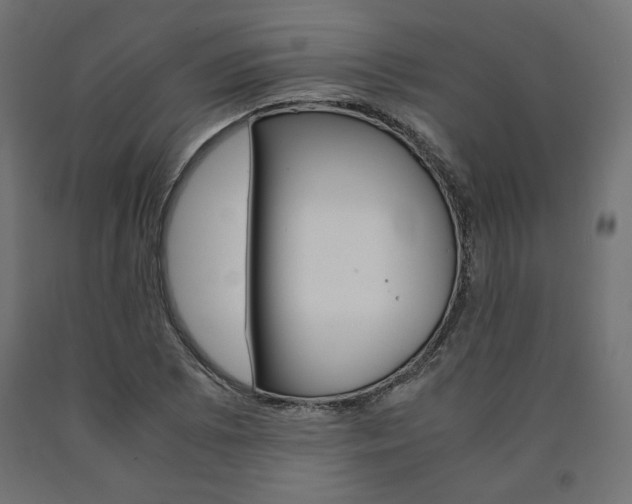 X0000091011073200708021401