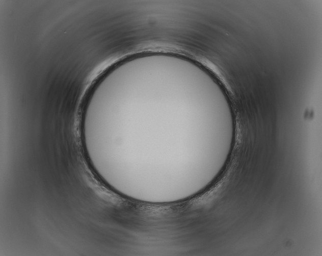 X0000091011074200708021401