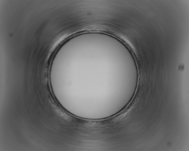X0000091011075200708021401
