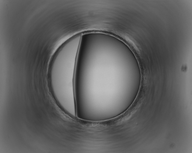 X0000091011077200708021401