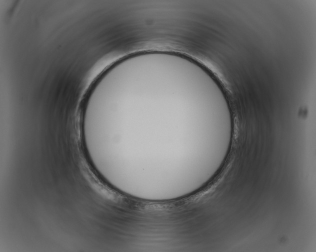 X0000091011078200708021401