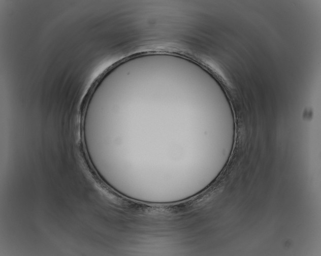 X0000091011079200708021401