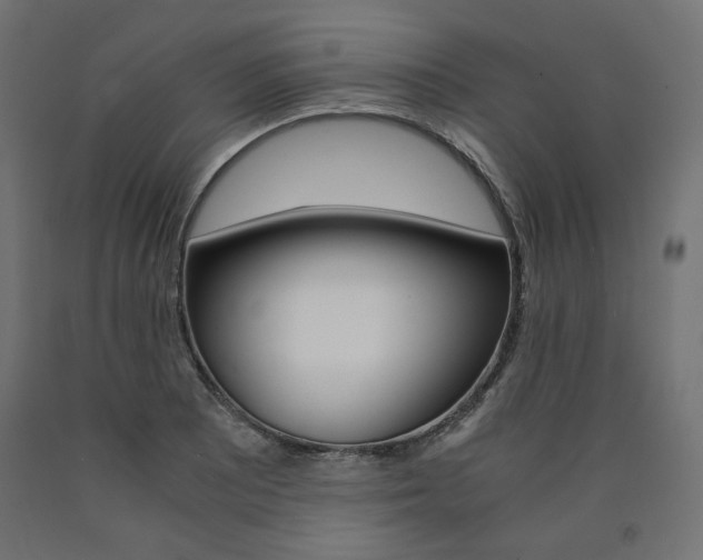 X0000091011081200708021401
