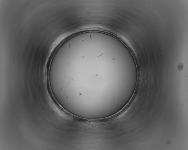 X0000091011082200708021401