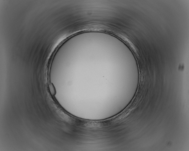 X0000091011083200708021401