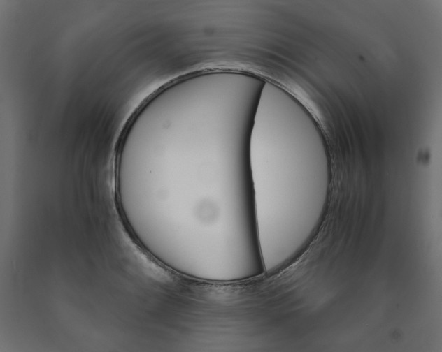 X0000091011084200708021401