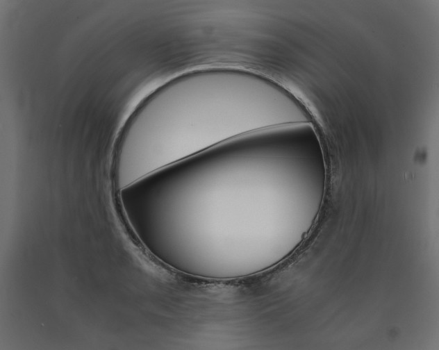 X0000091011085200708021401