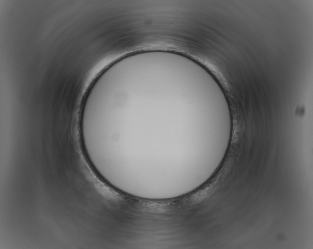 X0000091011086200708021401