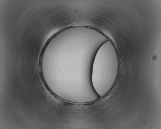 X0000091011087200708021401