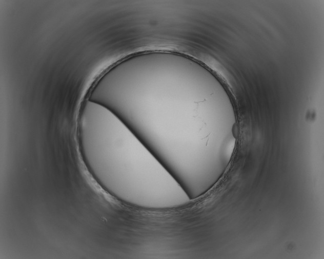 X0000091011088200708021401