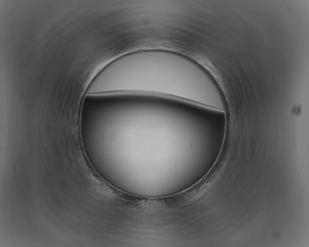 X0000091011089200708021401
