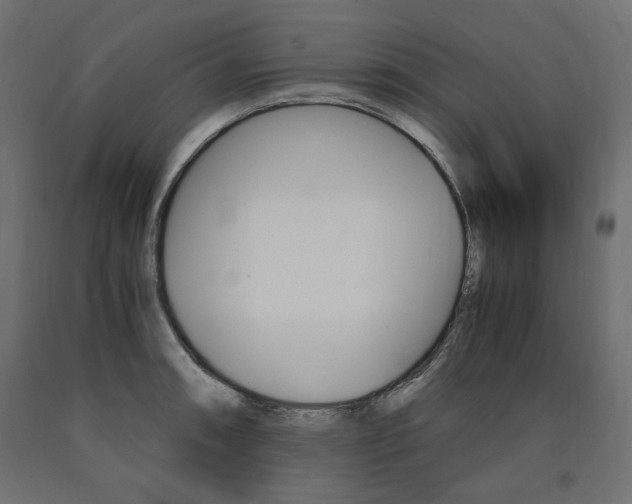 X0000091011090200708021401