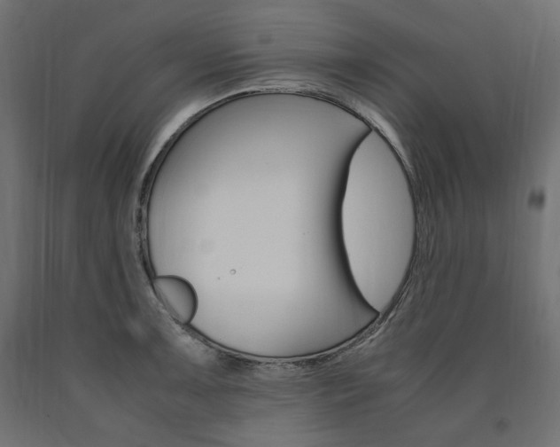 X0000091011091200708021401