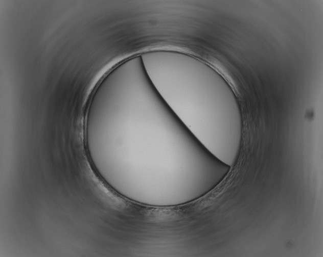 X0000091011092200708021401