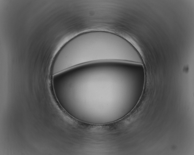 X0000091011093200708021401