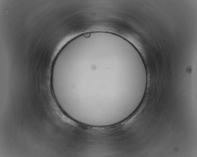 X0000091011094200708021401