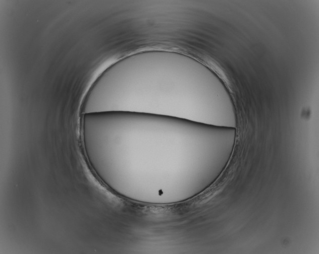 X0000091011095200708021401