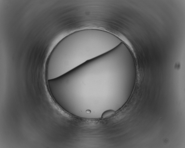 X0000091011096200708021401