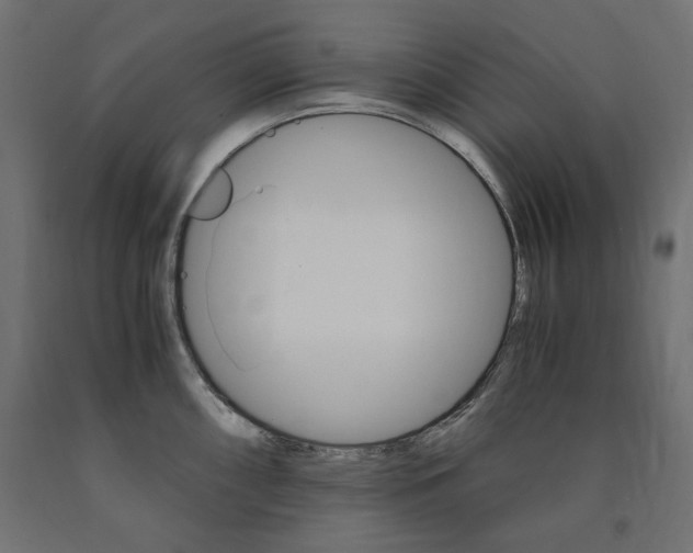 X0000091011098200708021401