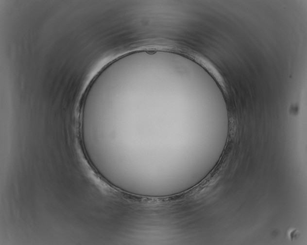 X0000091011099200708021401