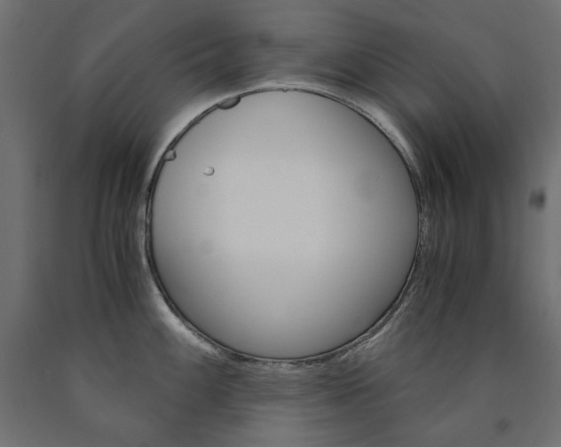X0000091011100200708021401